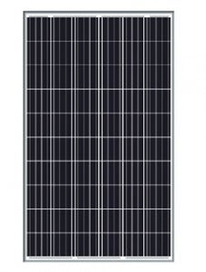 JA Solar  JAP6-60-265/4BB Module solaire 265WP