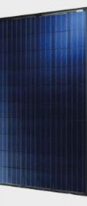 Kingdom Zonne KD-P275 275WP Solar Module
